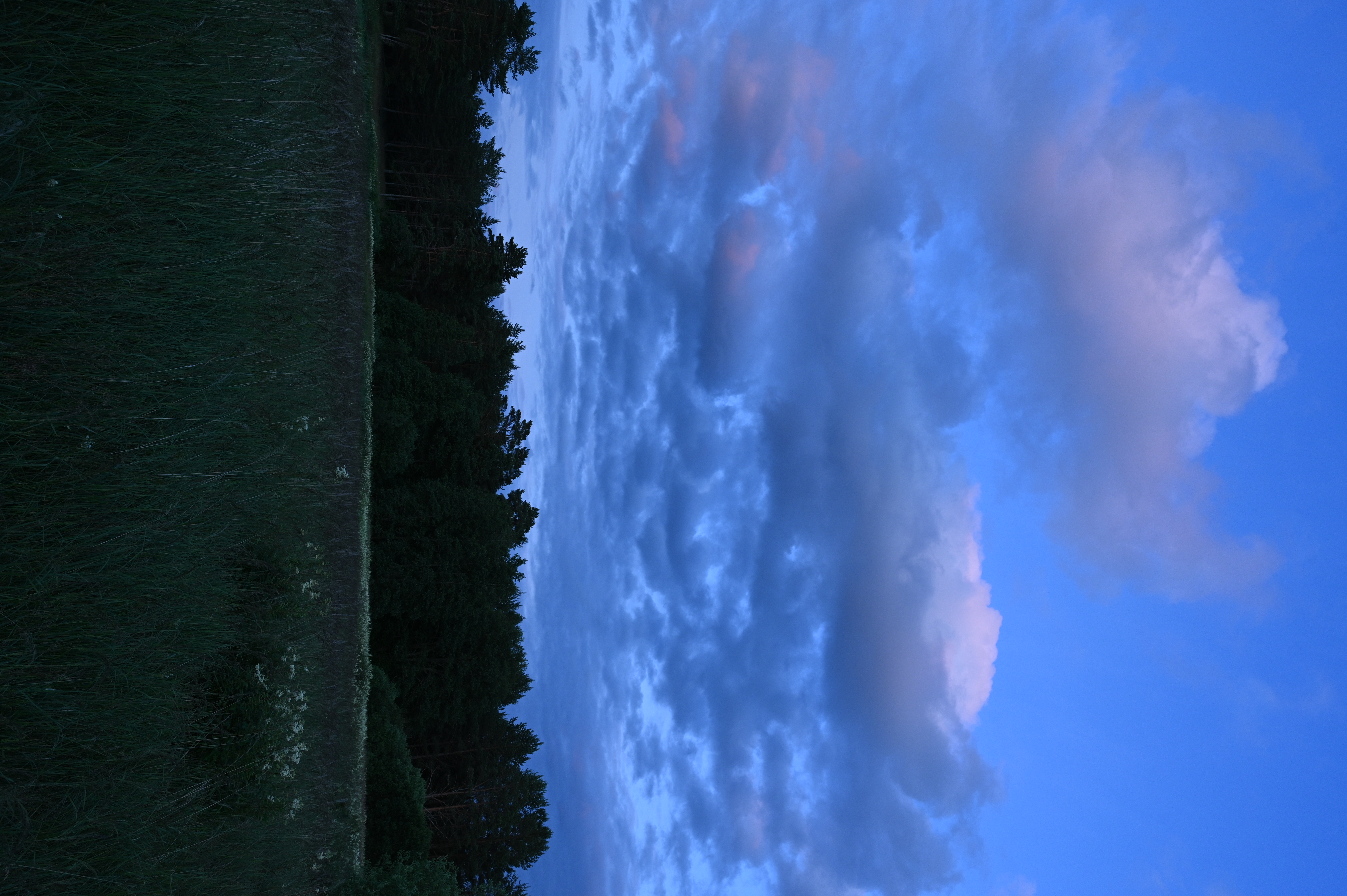 2025/07/09-14 - trip/DSC_0127.JPG